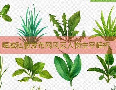 魔域私服发布网风云人物生平解析