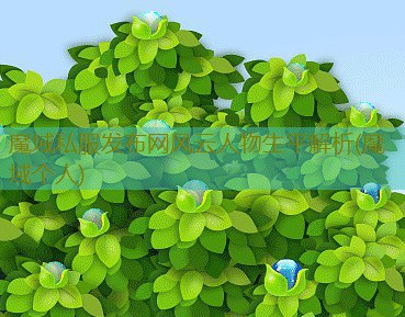 魔域私服发布网风云人物生平解析(魔域个人)