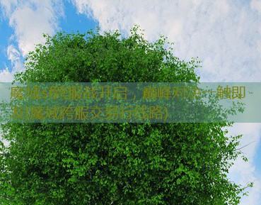 魔域sf跨服战开启，巅峰对决一触即发(魔域跨服交易行线路)