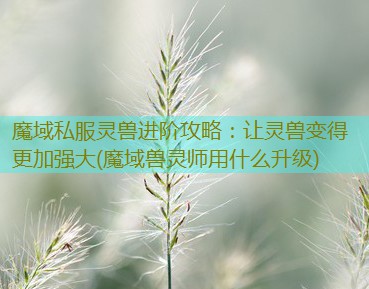 魔域私服灵兽进阶攻略：让灵兽变得更加强大(魔域兽灵师用什么升级)