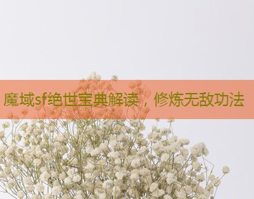魔域sf绝世宝典解读，修炼无敌功法