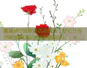 魔域sf经验双倍活动开始，轻松升级突破(魔域双倍经验能叠加吗)