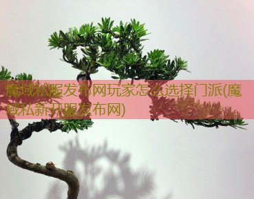 魔域私服发布网玩家怎么选择门派(魔域私新开服发布网)