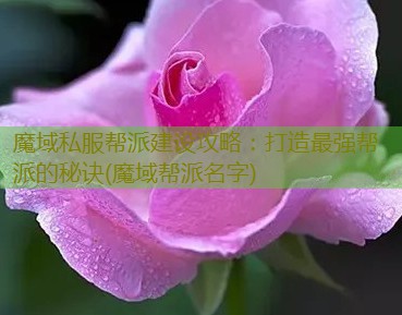 魔域私服帮派建设攻略：打造最强帮派的秘诀(魔域帮派名字)
